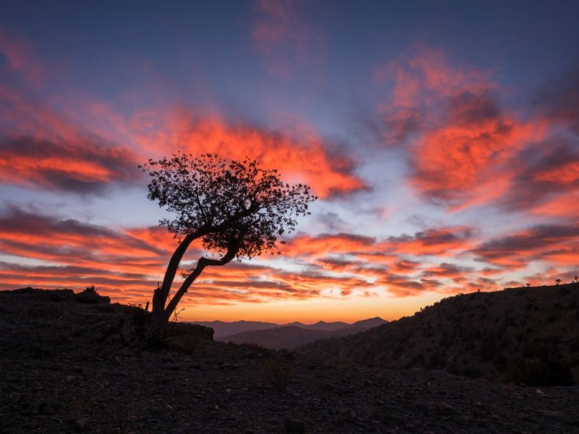 Explore diverse landscapes with DPReview reader, Paulo Bizarro