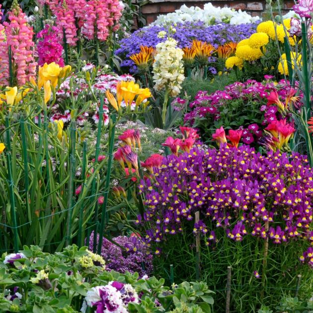  I've Tried Countless Slow Watering Hacks – These Are the 3 I Trust to Keep Flower Beds Thriving 