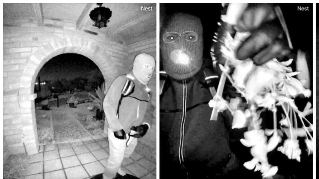FBI says DNA from glove may link suspect to Nancy Guthrie abduction
