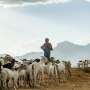 Improved climate forecasts alone won't protect Africa's poorest farmers