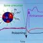 Changes to platinum surface chemistry boost solar hydrogen production in organic photocatalysts