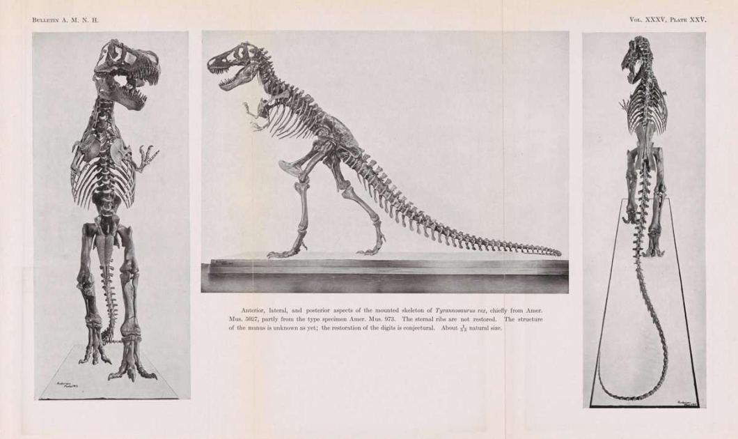 A museum curator wrote the first T. rex novel on his daily commute
