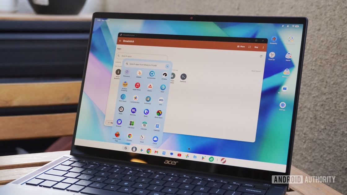 I spent two weeks using Googlebooks, and I have 5 big concerns