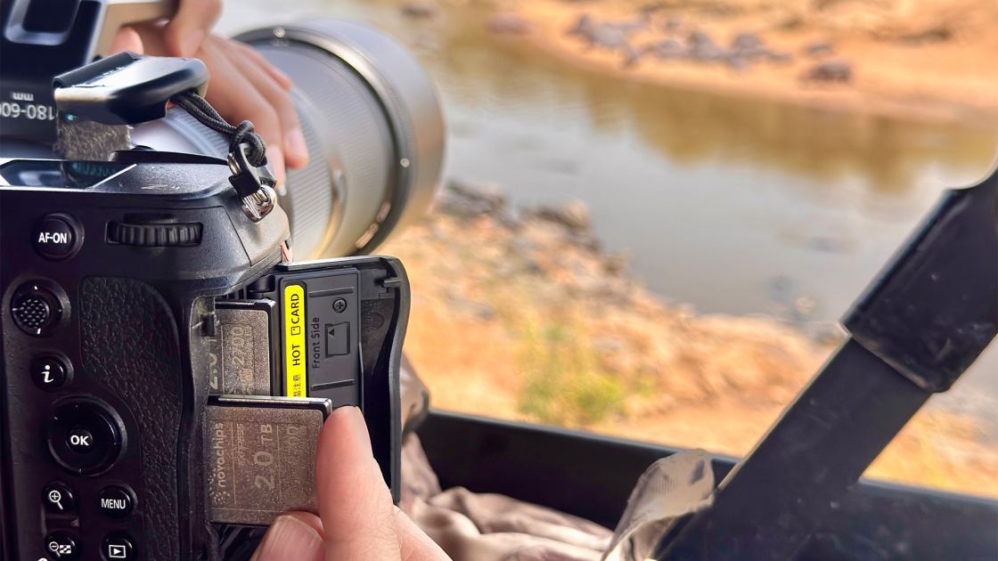 Novachips CFexpress 4.0 cards survived a Kenya wildlife expedition — here’s what a professional shooter found