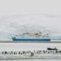 'I can't work in the farce of climate change cruise tourism anymore': Why Antarctic guides quit their dream jobs