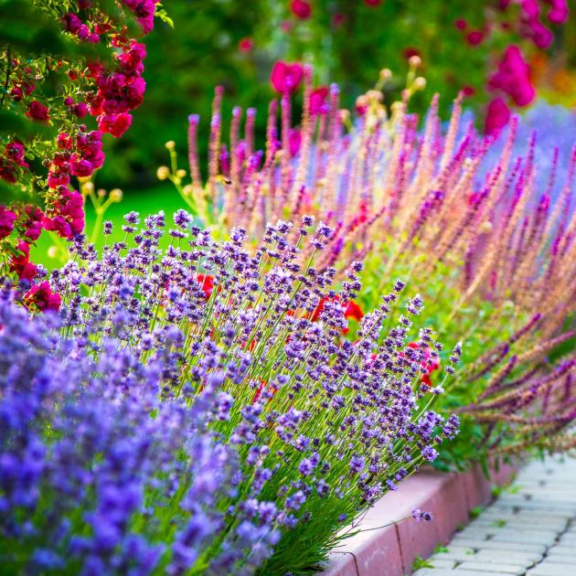  4 Steps to a Garden That Almost Takes Care of Itself if You Want More Flowers for Less Work 
