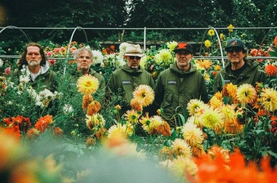 Super Furry Animals Reunite For First Show In A Decade