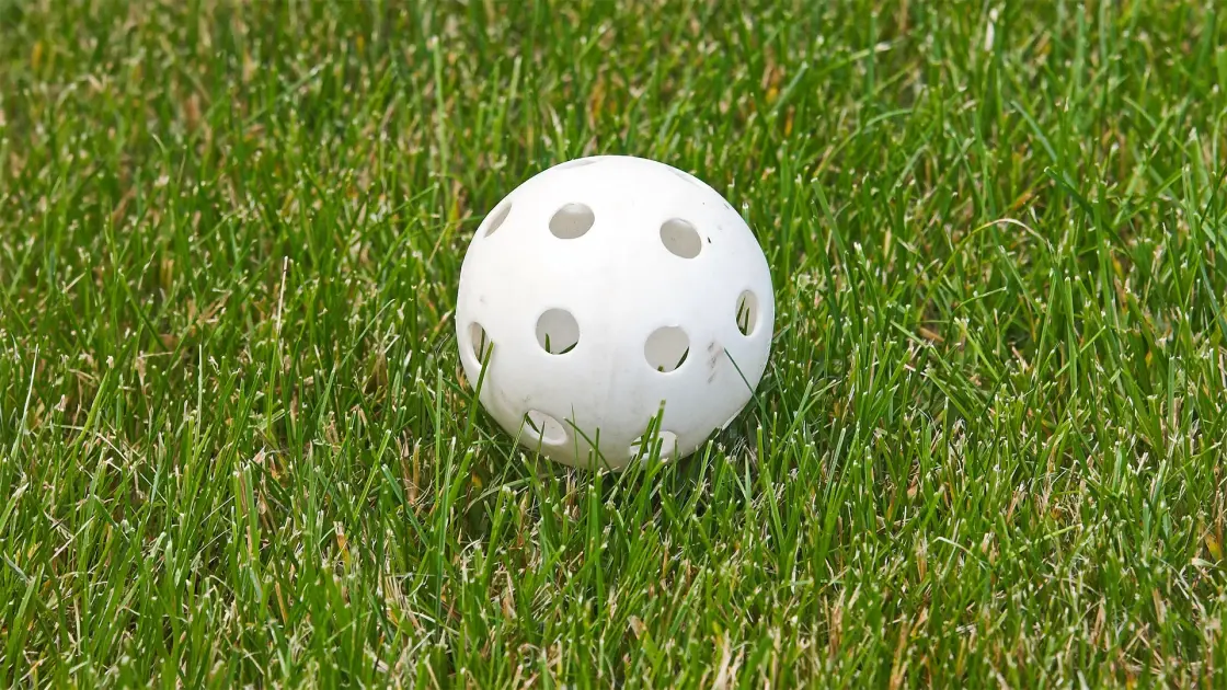 A 13-Year-Old Built a Backyard Wiffle Ball Stadium. Now His Family Owns the 73-Year-Old Brand