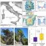 Medieval pandemic left a hidden legacy in Europe's oldest trees