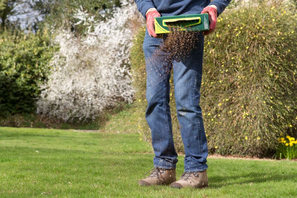 It's time to get your lawn shipshape for summer