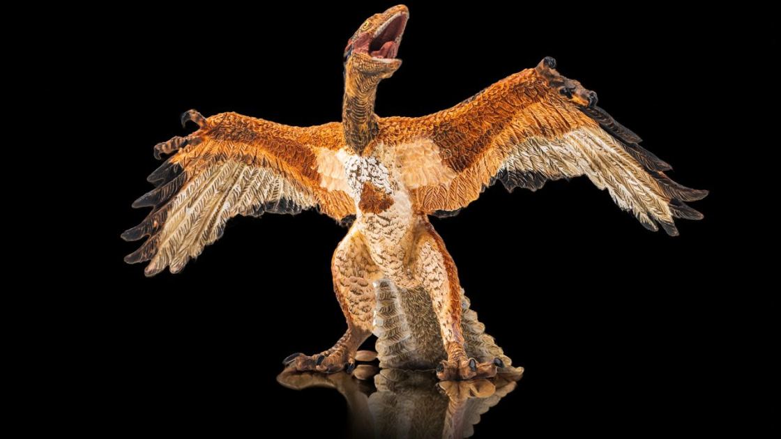  'He began to cry, and almost fell to the floor': The fluffy fossil that finally showed the world that birds are dinosaurs 