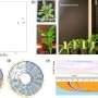 Camelina genome analysis reveals how wild relatives could expand crop breeding options