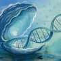 AI helps uncover oyster DNA changes linked to climate resilience