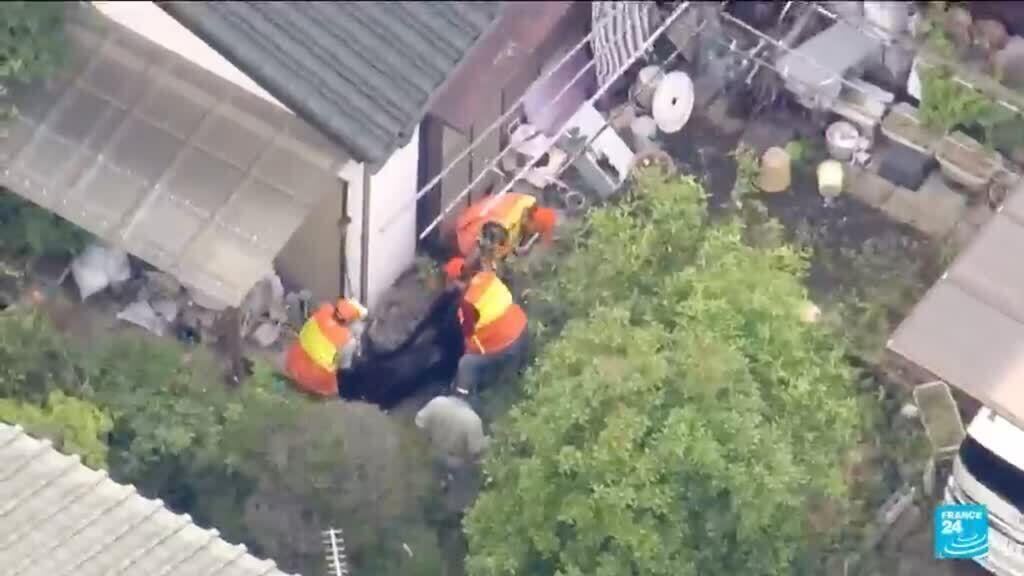Bear captured in Japan after multi-day search as attacks rise