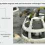 3D-printed bioplastic pods offer new hope for seagrass restoration in Thailand