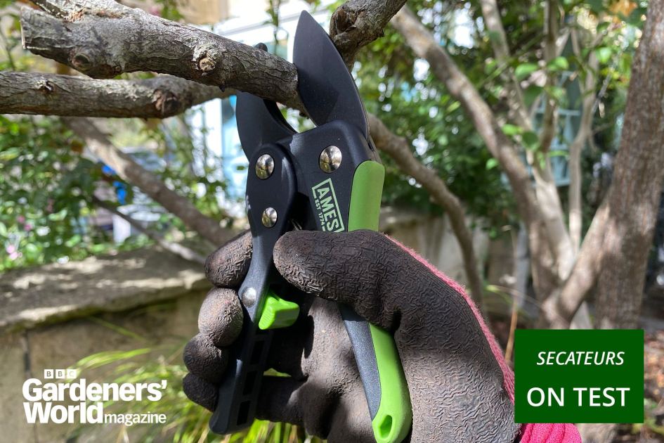 The 11 best secateurs in 2026, as tested by our experts – bypass, anvil and ratchet types