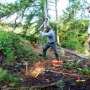 Trees cover rock, eventually: Study maps how bare Georgia bedrock turns into forest
