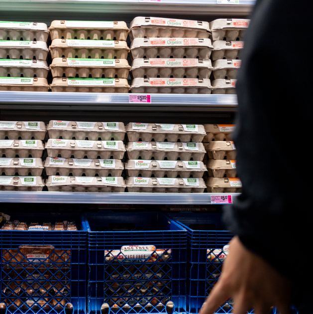 Egg Producers to Pay $3.3 Million to Settle Federal Price-Fixing Lawsuit