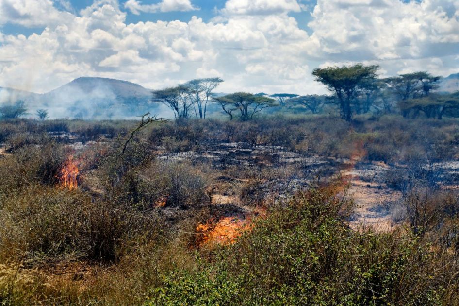 Monsoon-driven wildfires may have shaped human evolution