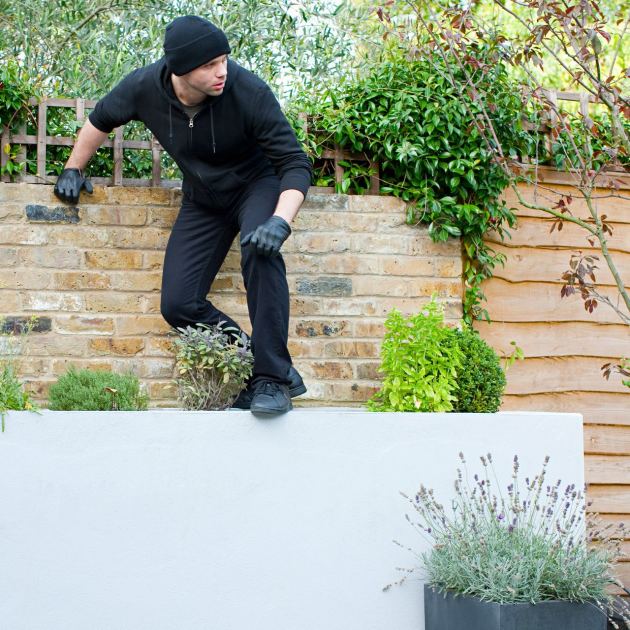  5 Smart Landscaping Tips That Prevent Burglars From Breaking Into Your Home – and Beautify Your Yard at the Same Time 