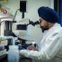 Surveying the genetic battlefield to uncover the rules of rapid evolution