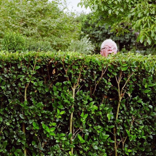  Don't Get in Trouble Planting a Hedge on a Property Line – A Lawyer Explains How to Steer Clear of the Law 