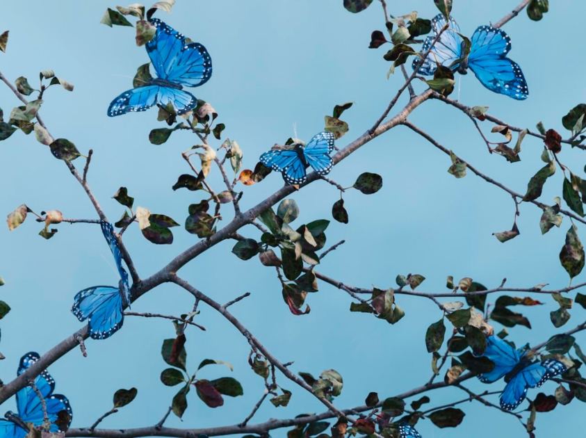 Bluesky Will Soon Have a ‘Communities’ Feature, Sort of Like Subreddits