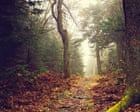 Country People by Daniel Mason review – a joyful follow-up to North Woods