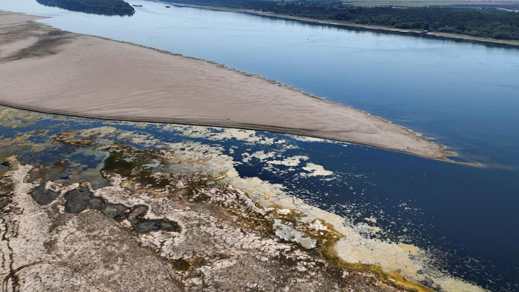 Drought-hit Danube gives way to mammoth fossil hunt in Bulgaria