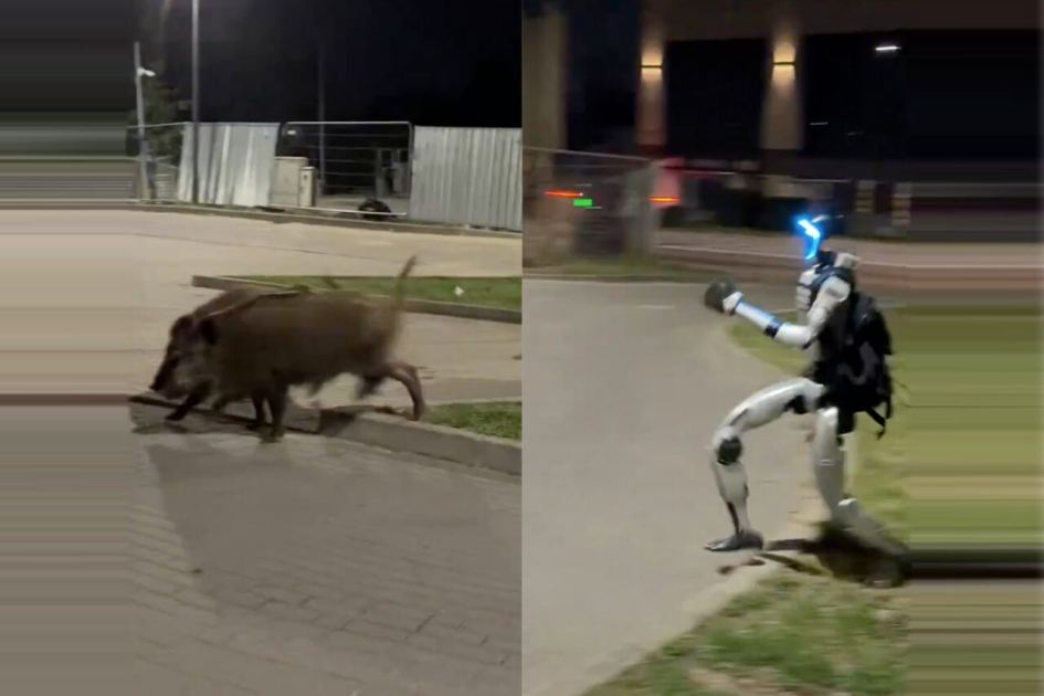 Viral Video Offers Compelling New Strategy for Defending Kids From 30-50 Feral Hogs: Bipedal Robots