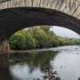How river DNA can track fish, frogs, fungi and human feces all at once