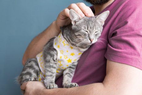 One Woman Has Spent $50,000 of Her Own Money Neutering Strangers’ Cats