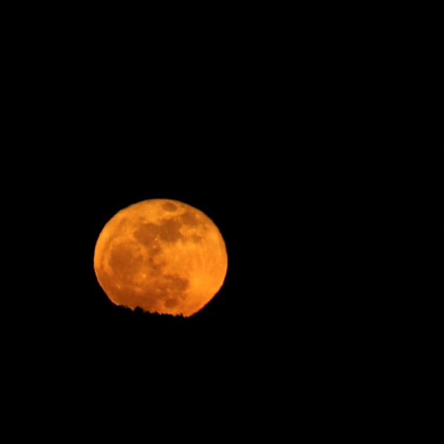 The Blue Micromoon Rises in Sunday’s Early Skies
