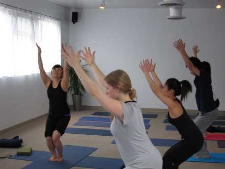 Yoga 101: Bikram Yoga Versus Hatha Yoga
