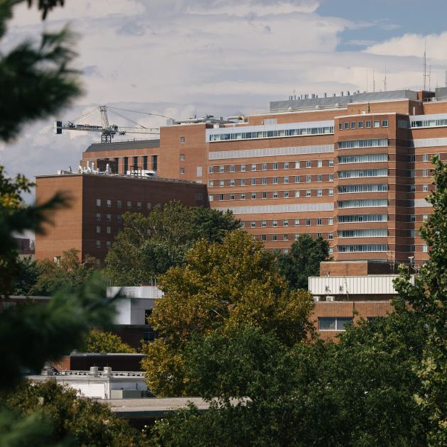 Pace of N.I.H. Funding Slows Further in Trump’s Second Year