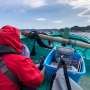 Japan's largest marine DNA study detects 126 fish species farther north than previously recorded