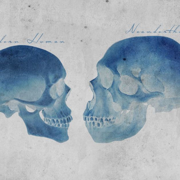 What Your DNA Reveals About the Sex Life of Neanderthals