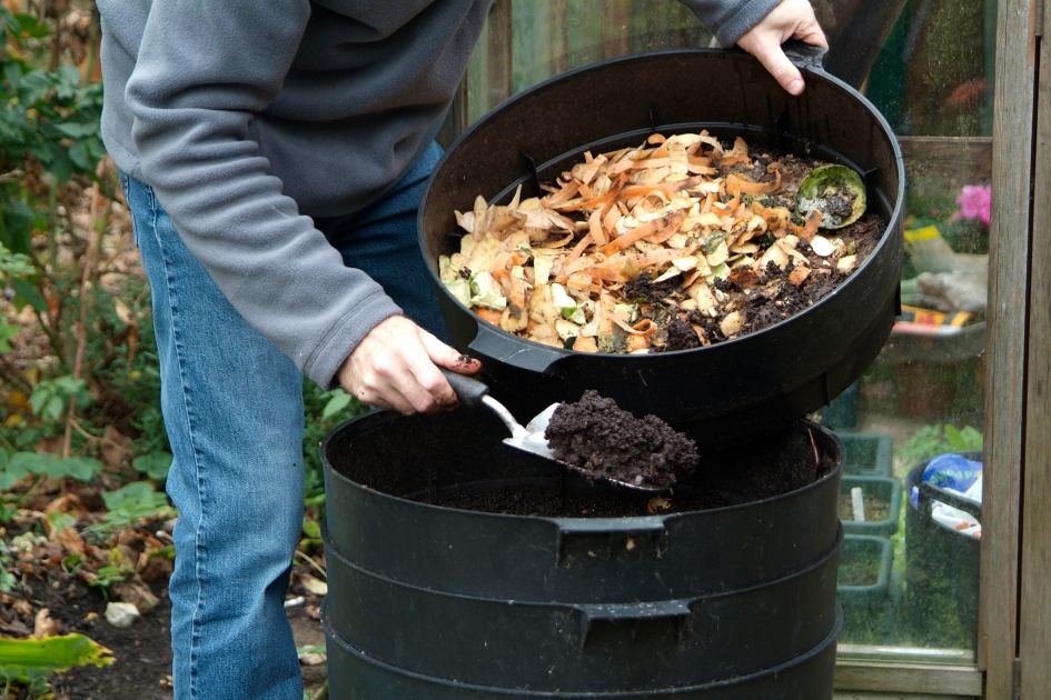 Five budget-friendly hacks to keep rats out of your garden