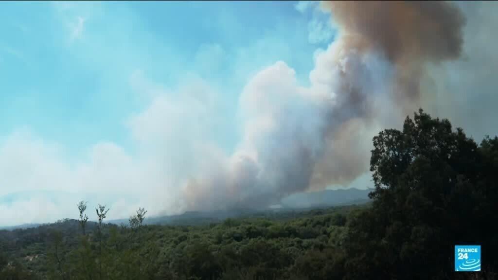 Wildfires rage across southern France